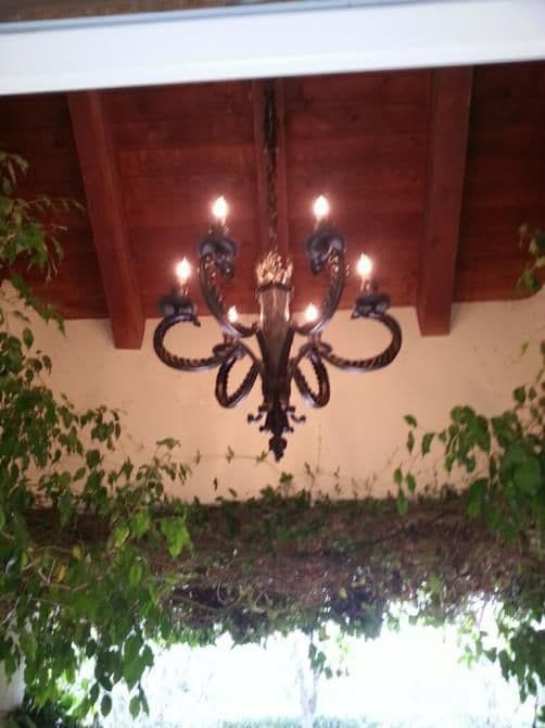 Chandelier with six lights suspended from a wooden ceiling and surrounded by greenery.